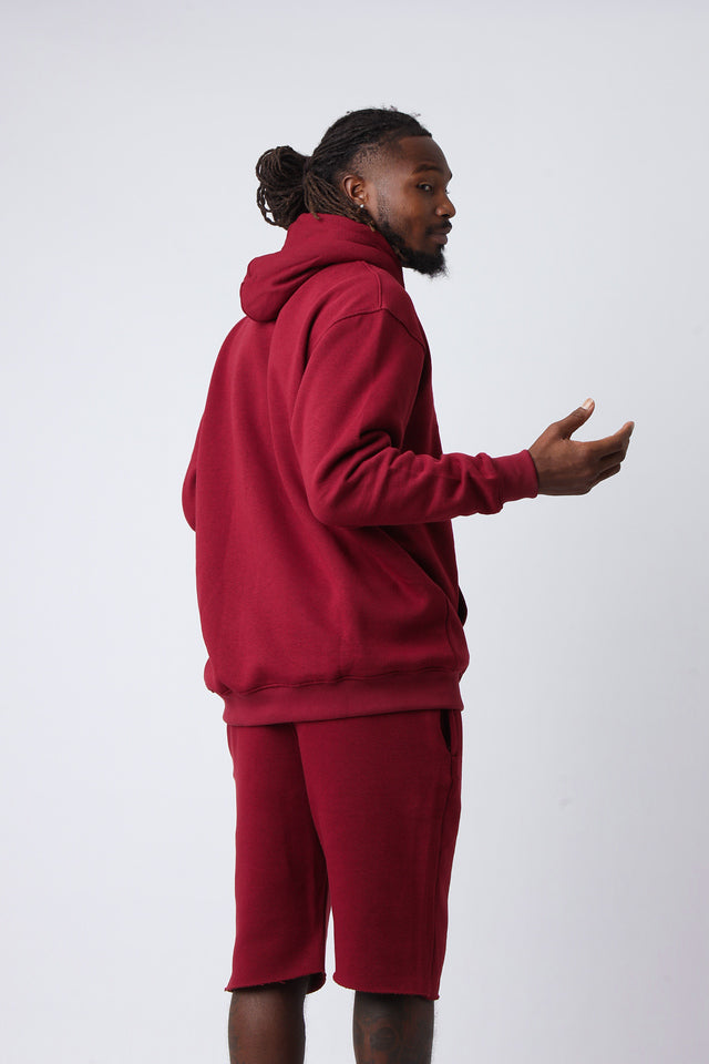 Velvet Ash Large Logo Pullover Hoodie