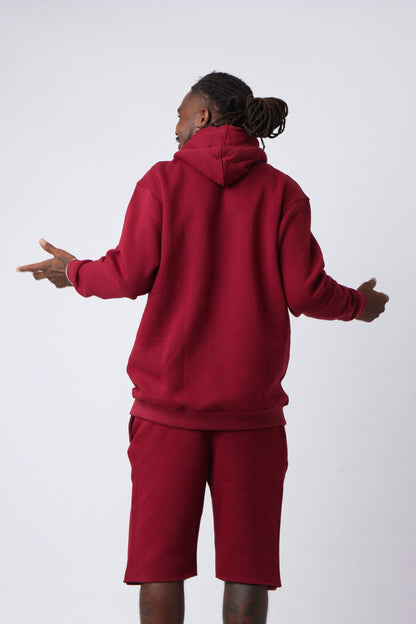 Velvet Ash Large Logo Pullover Hoodie