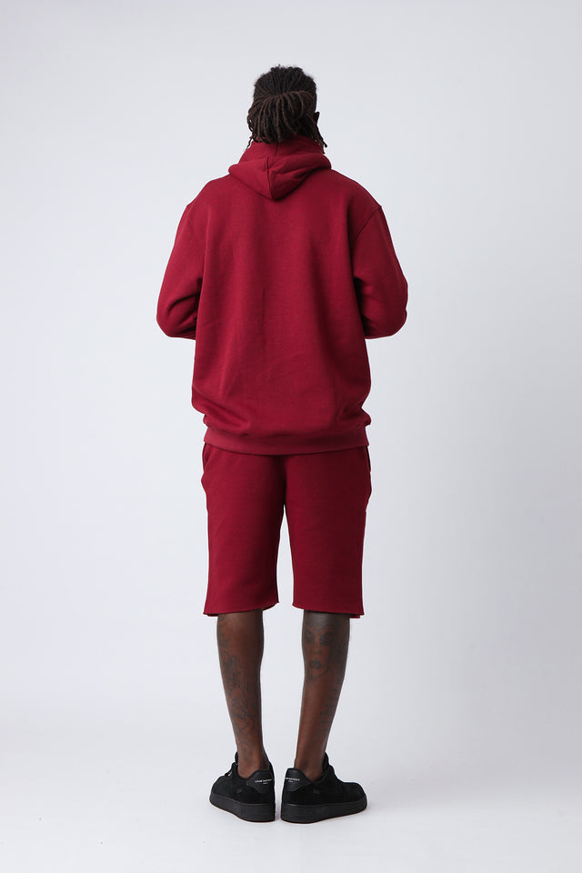Velvet Ash Large Logo Pullover Hoodie